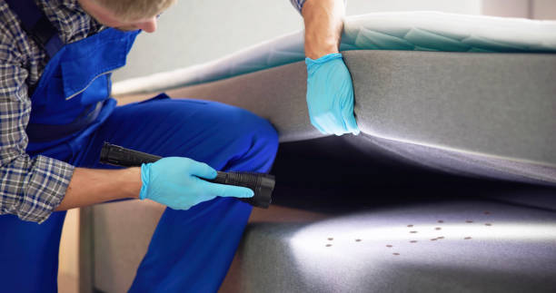 Best Exterminator Services  in Walthourville, GA