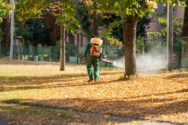 Pest Prevention Services in Walthourville, GA