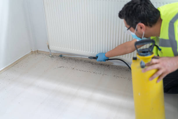 Best Residential Pest Control  in Walthourville, GA